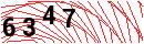 Security Verification