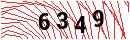 Security Verification