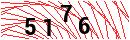 Security Verification