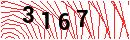 Security Verification