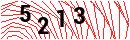 Security Verification