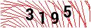Security Verification