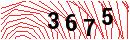 Security Verification