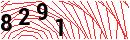 Security Verification