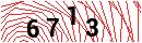 Security Verification