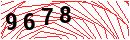 Security Verification