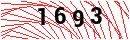 Security Verification