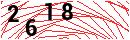 Security Verification