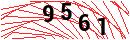 Security Verification