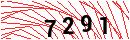 Security Verification