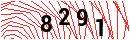 Security Verification