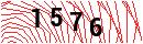 Security Verification