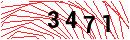 Security Verification