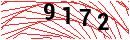 Security Verification