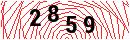 Security Verification