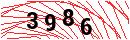 Security Verification