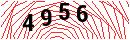 Security Verification