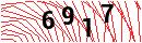 Security Verification