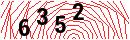 Security Verification
