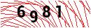 Security Verification