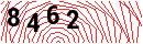 Security Verification