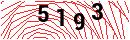 Security Verification