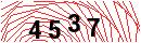 Security Verification