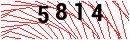 Security Verification
