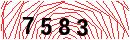Security Verification