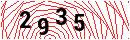 Security Verification
