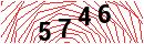 Security Verification