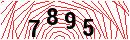 Security Verification