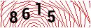 Security Verification