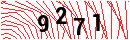 Security Verification