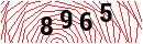 Security Verification