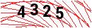 Security Verification