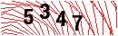 Security Verification