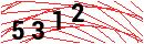 Security Verification