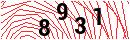 Security Verification