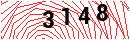 Security Verification
