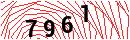 Security Verification