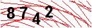 Security Verification