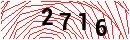 Security Verification
