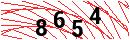 Security Verification