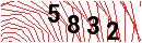 Security Verification