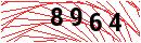Security Verification