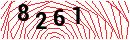 Security Verification