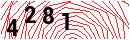 Security Verification