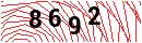 Security Verification