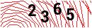 Security Verification